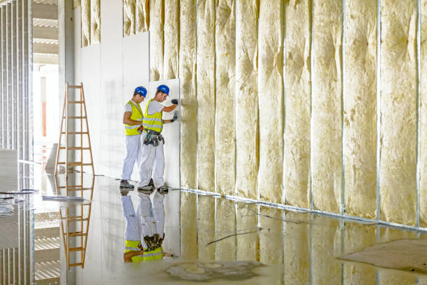 Best Insulation Air Sealing  in Gladeview, FL